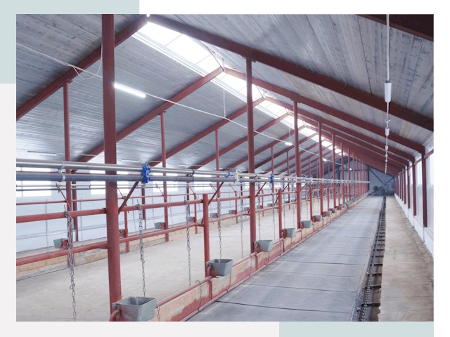 Строительство коровников в Славгороде от 624 руб.