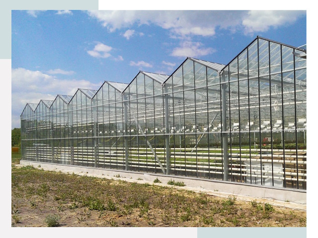 Строительство теплиц в Славгород от 624 руб. за м²